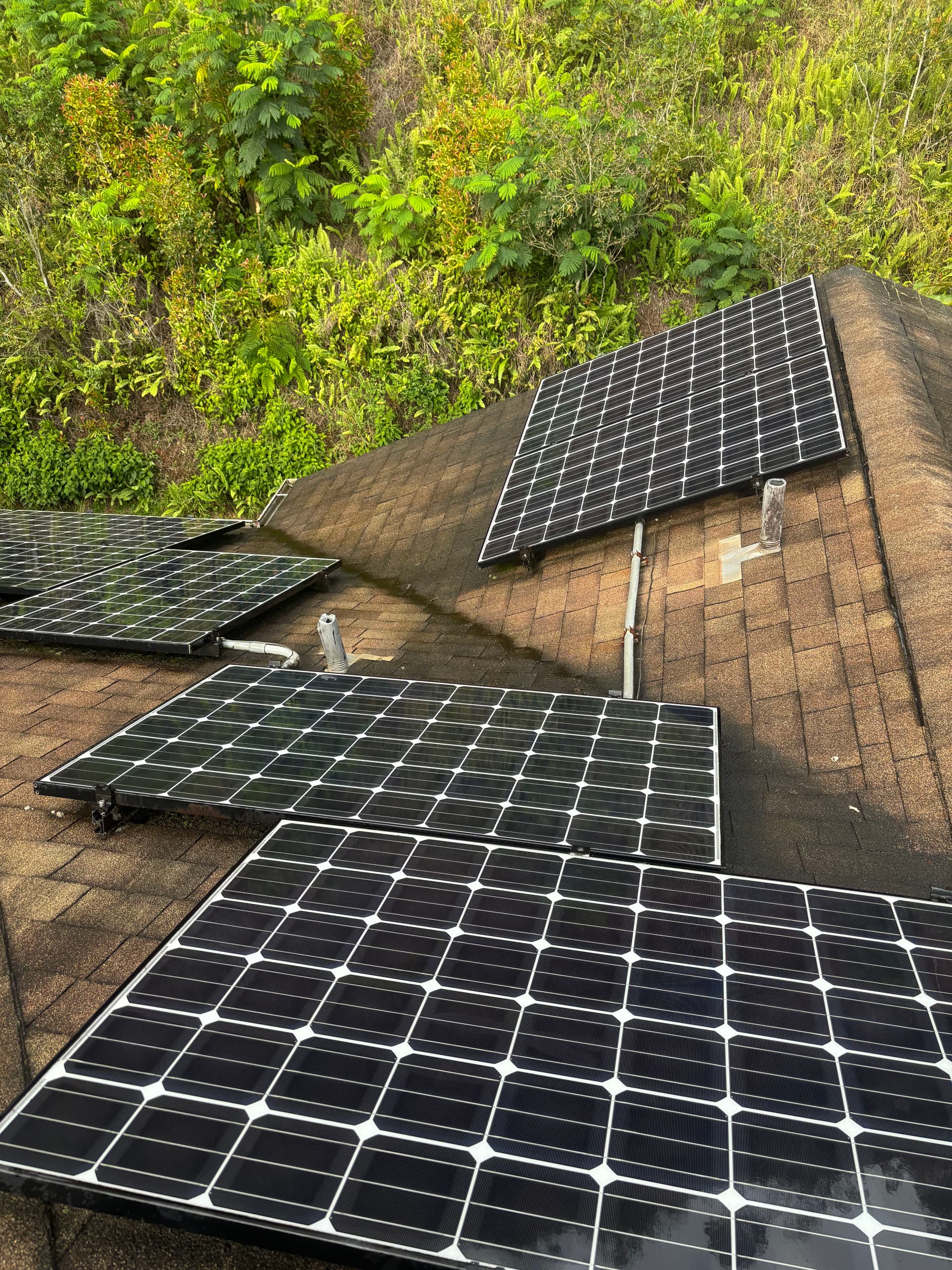 Boost Energy Efficiency with Sparkling Solar Panels at Mililani Tech Park