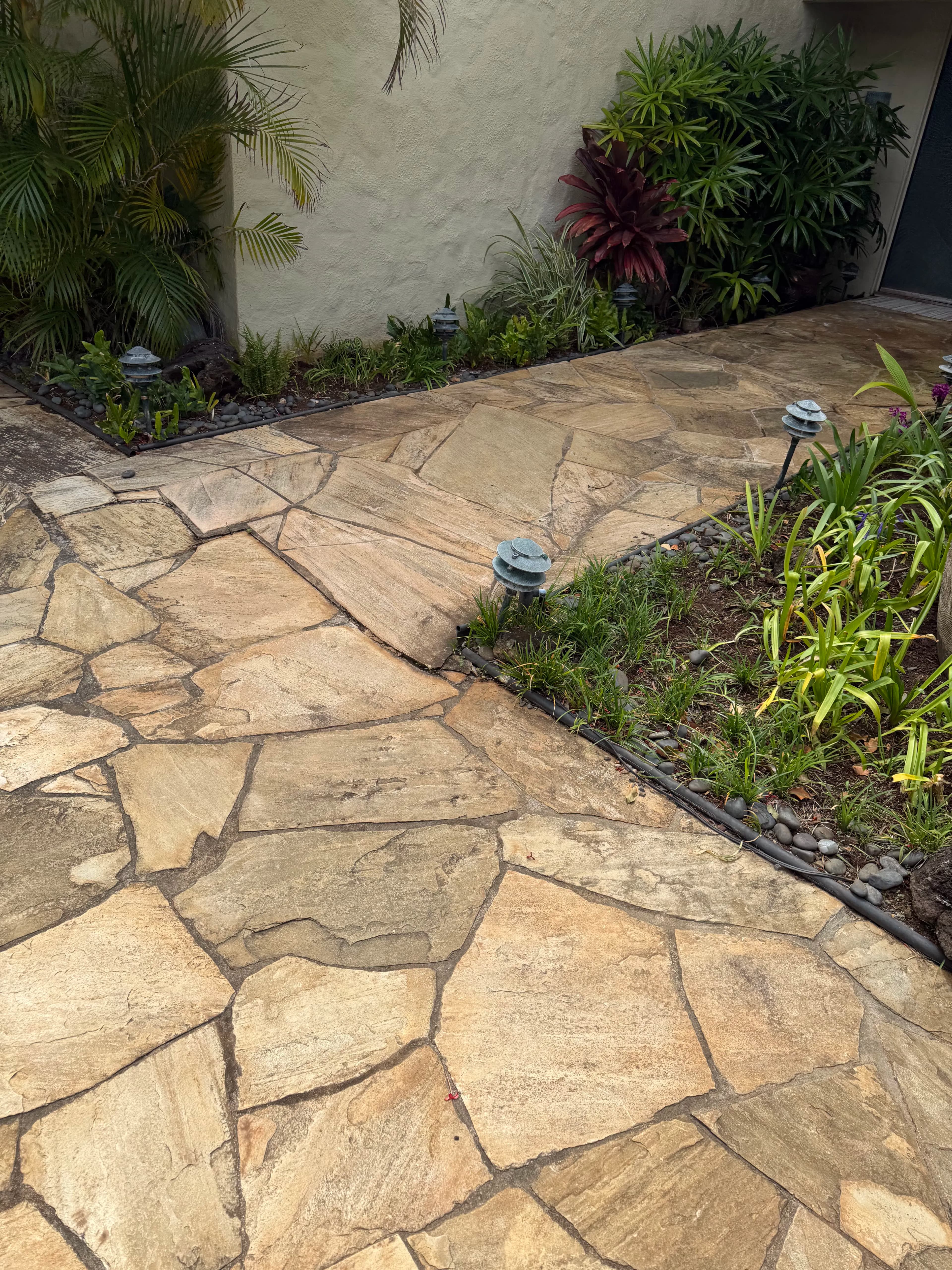 Project Soft Washing Flagstone the Right Way image
