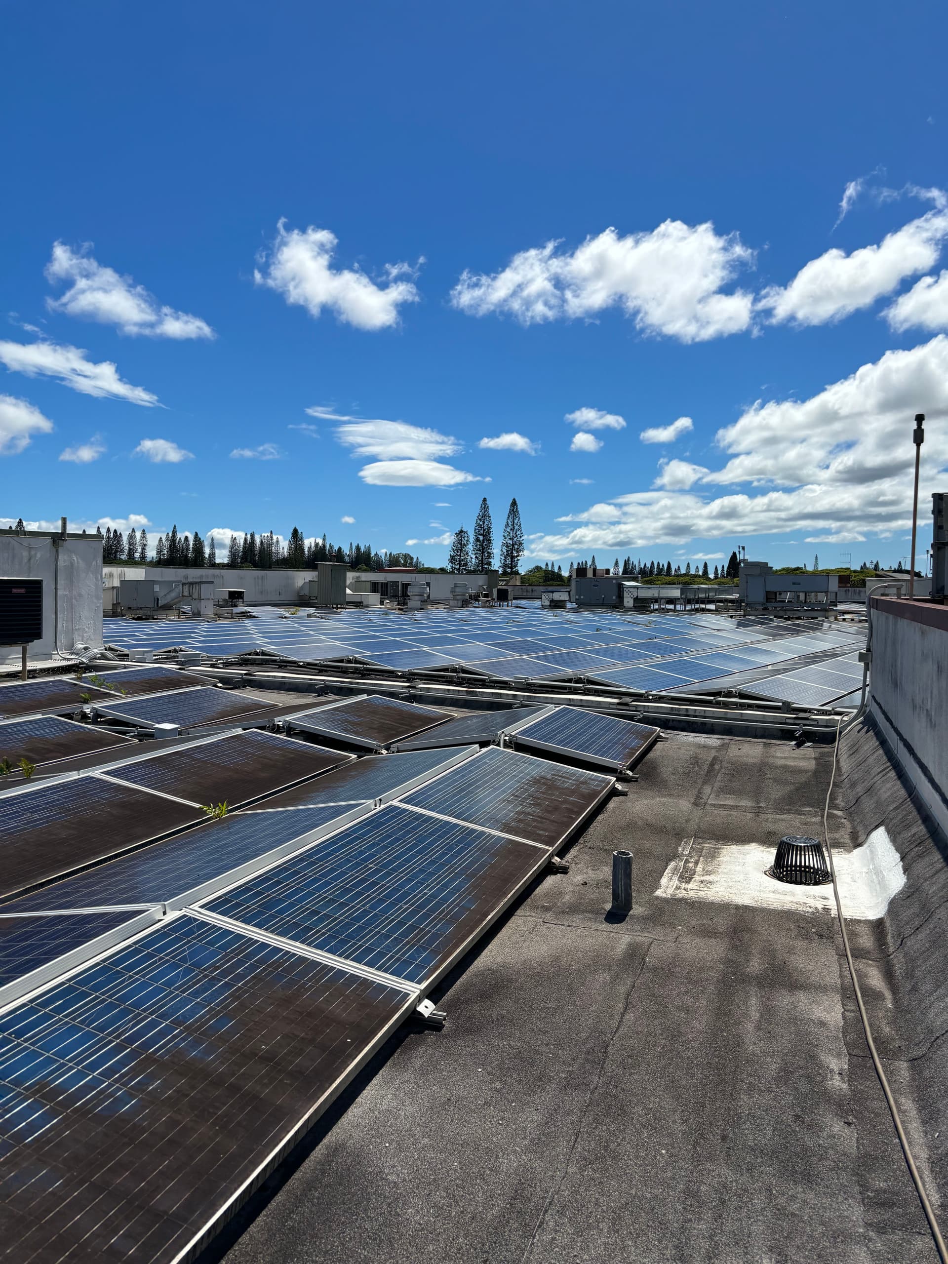 Gallery photos for Solar Panel Cleaning in Mililani: Image #2