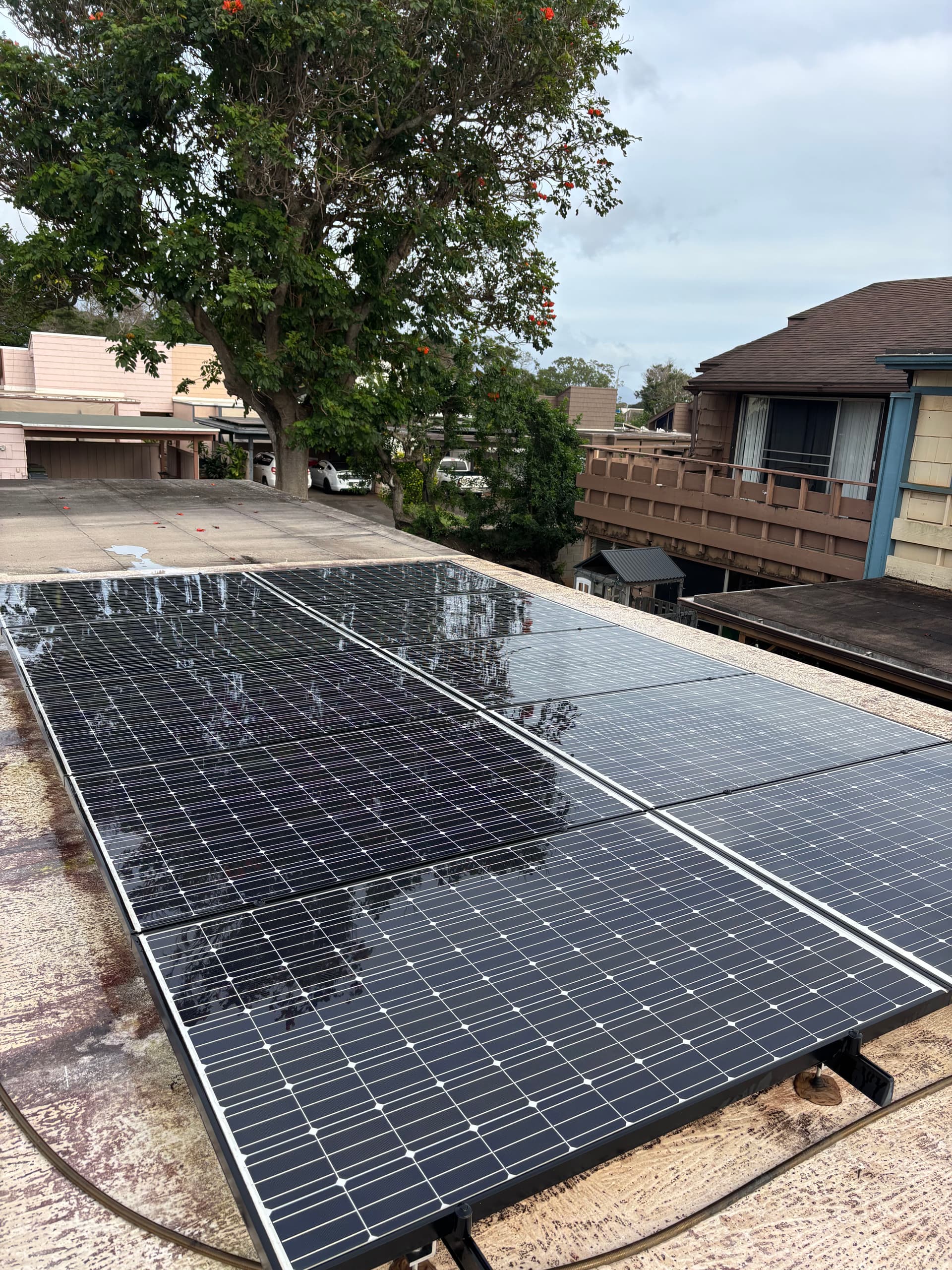 Maximizing Solar Panel Efficiency in Mililani