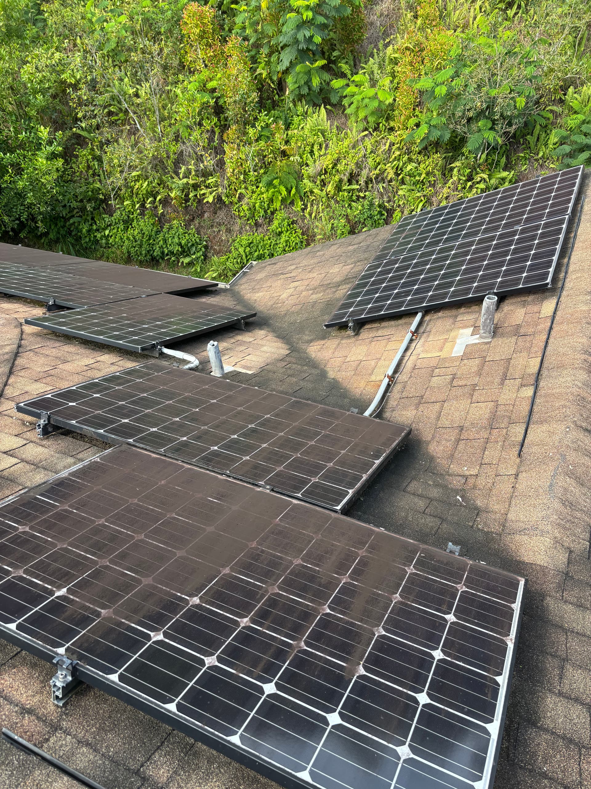 Boost Energy Efficiency with Sparkling Solar Panels at Mililani Tech Park