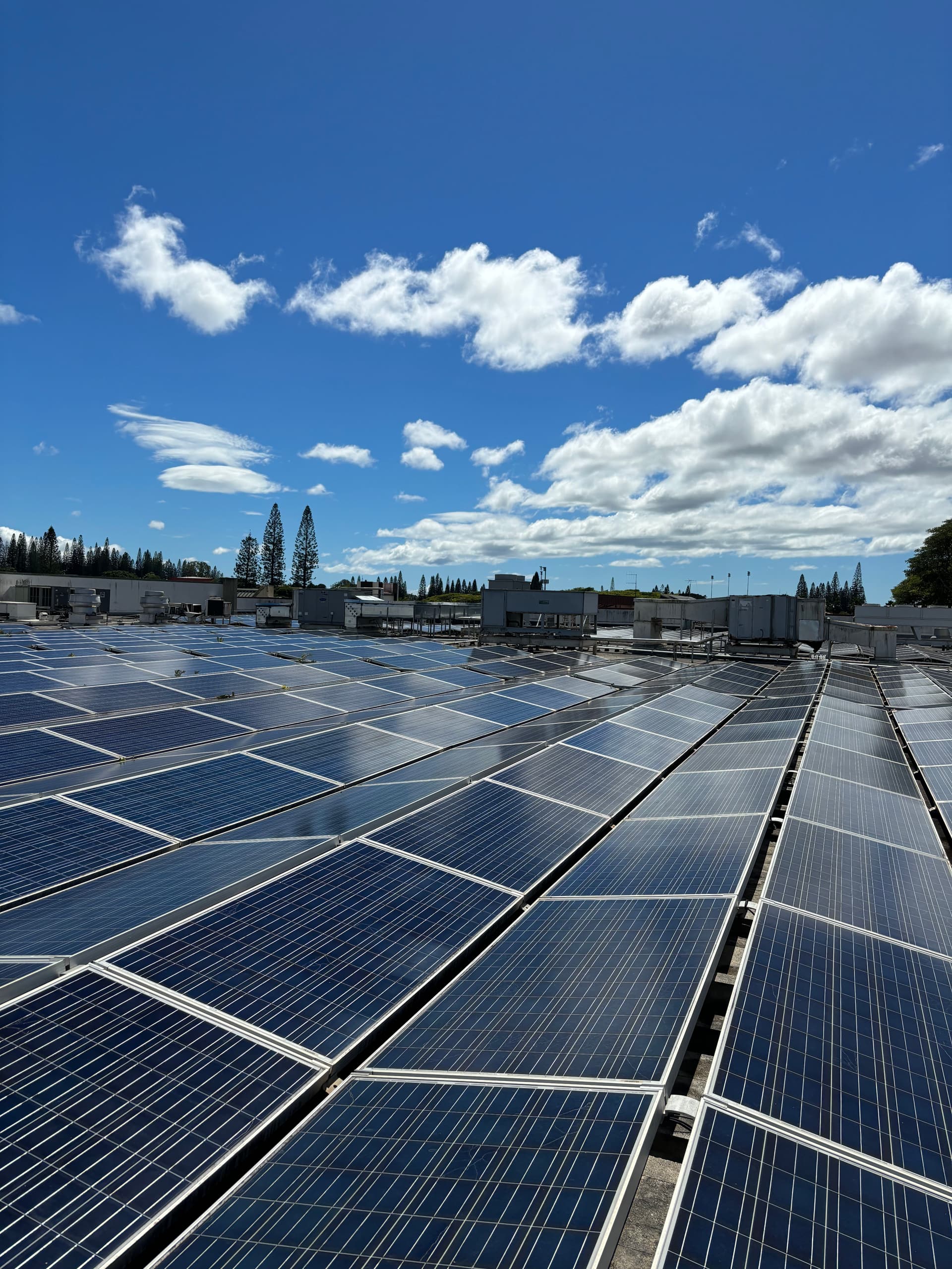 Gallery photos for Solar Panel Cleaning in Mililani: Image #3