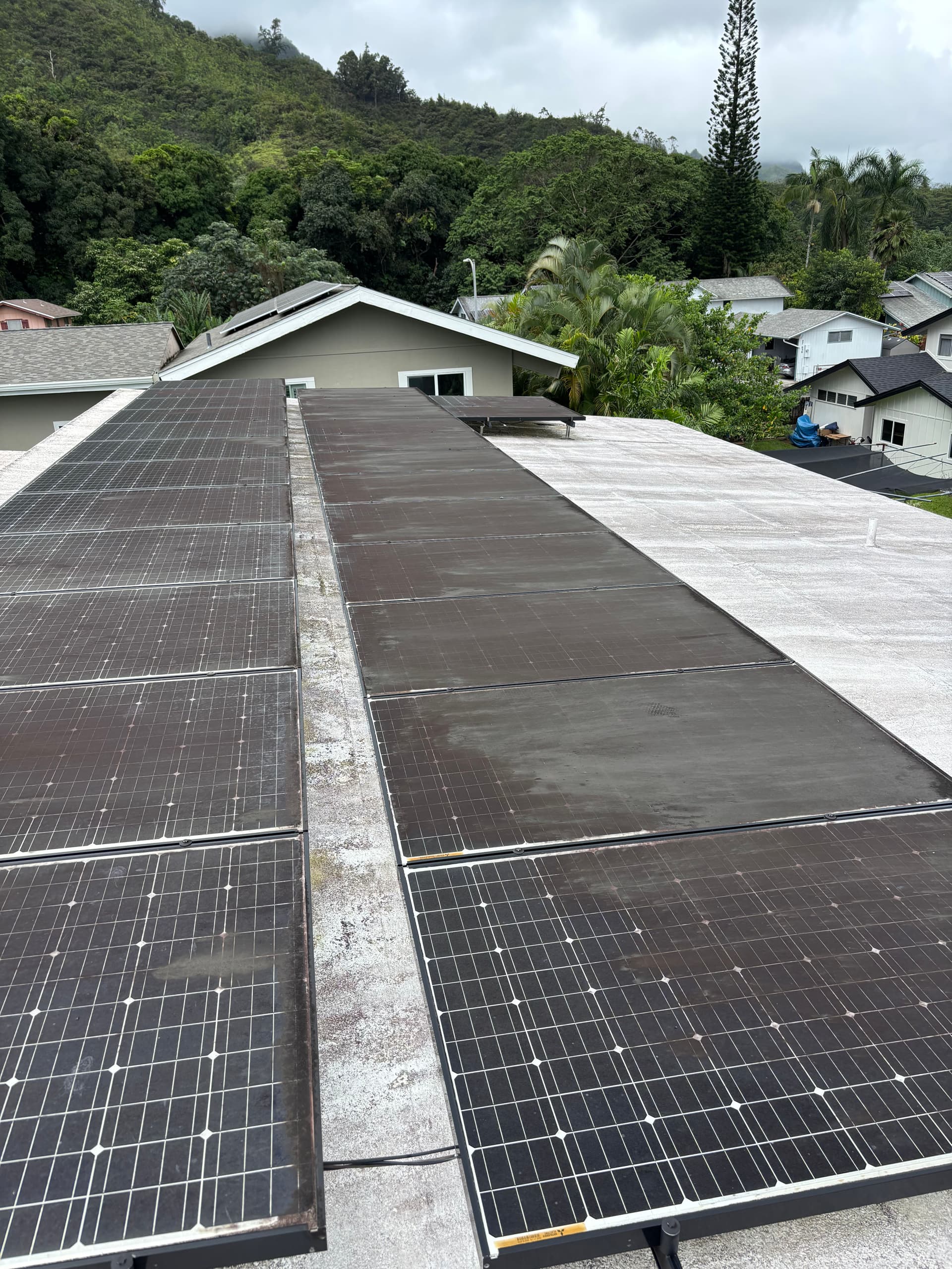 Boosting Solar Efficiency in Kaneohe image