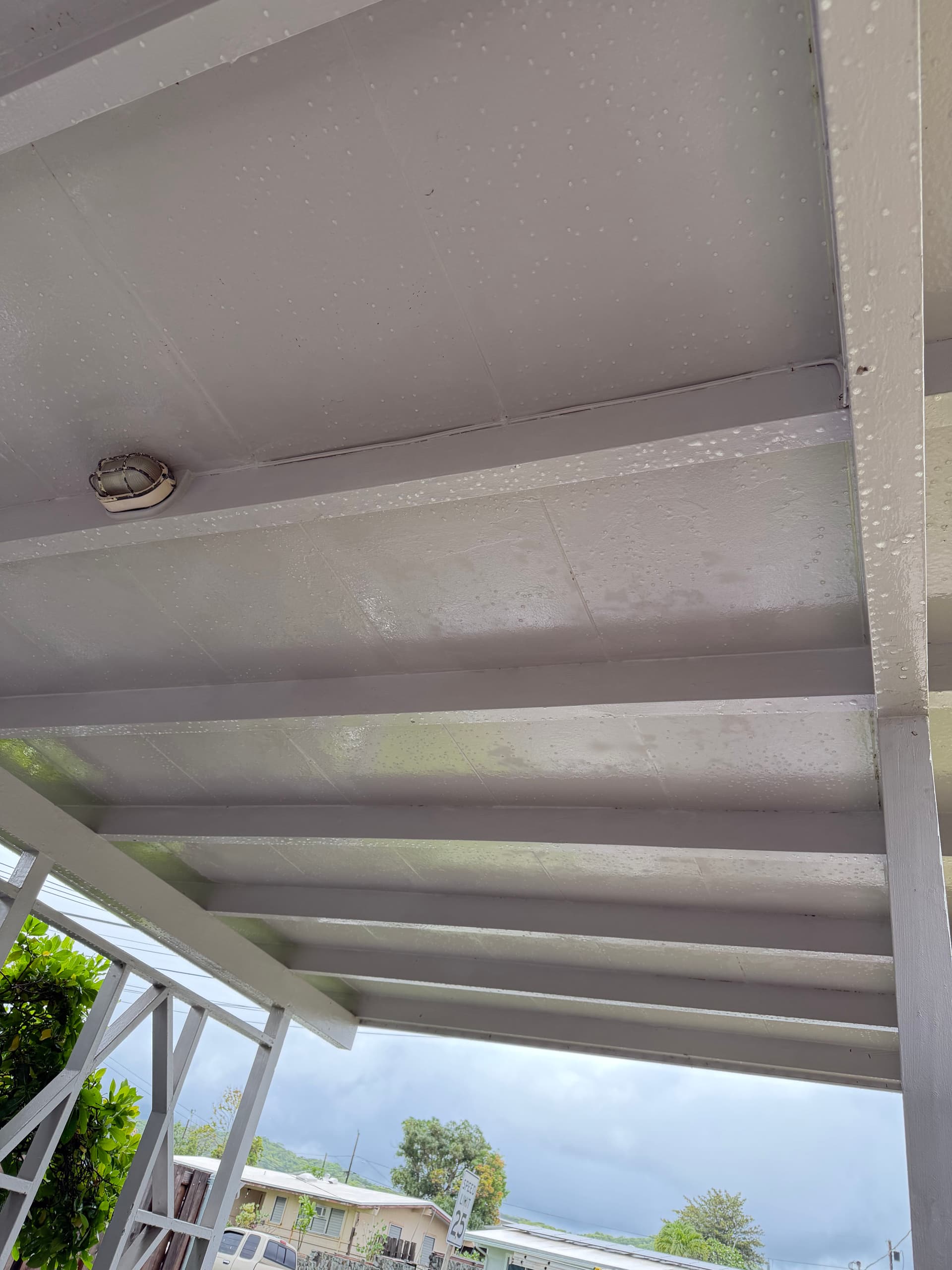 Gallery photos for Carport Ceiling Mold Cleaned Up with Soft Washing: Image #1