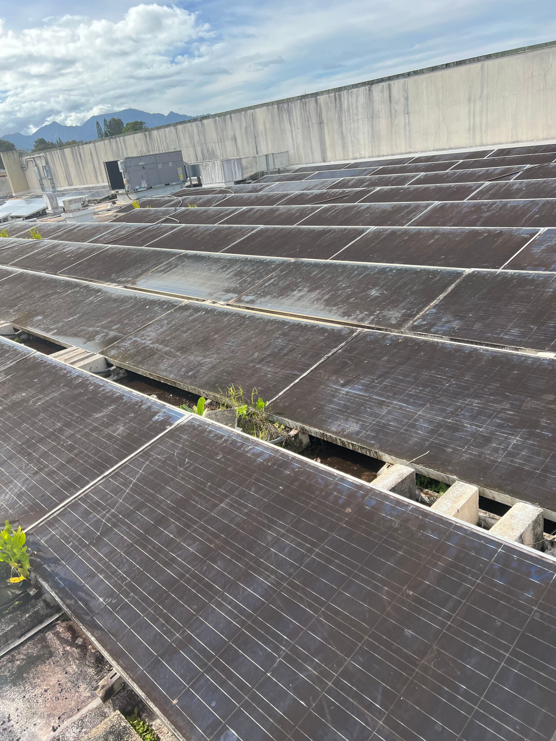 Gallery photos for Solar Panel Cleaning in Mililani: Image #1