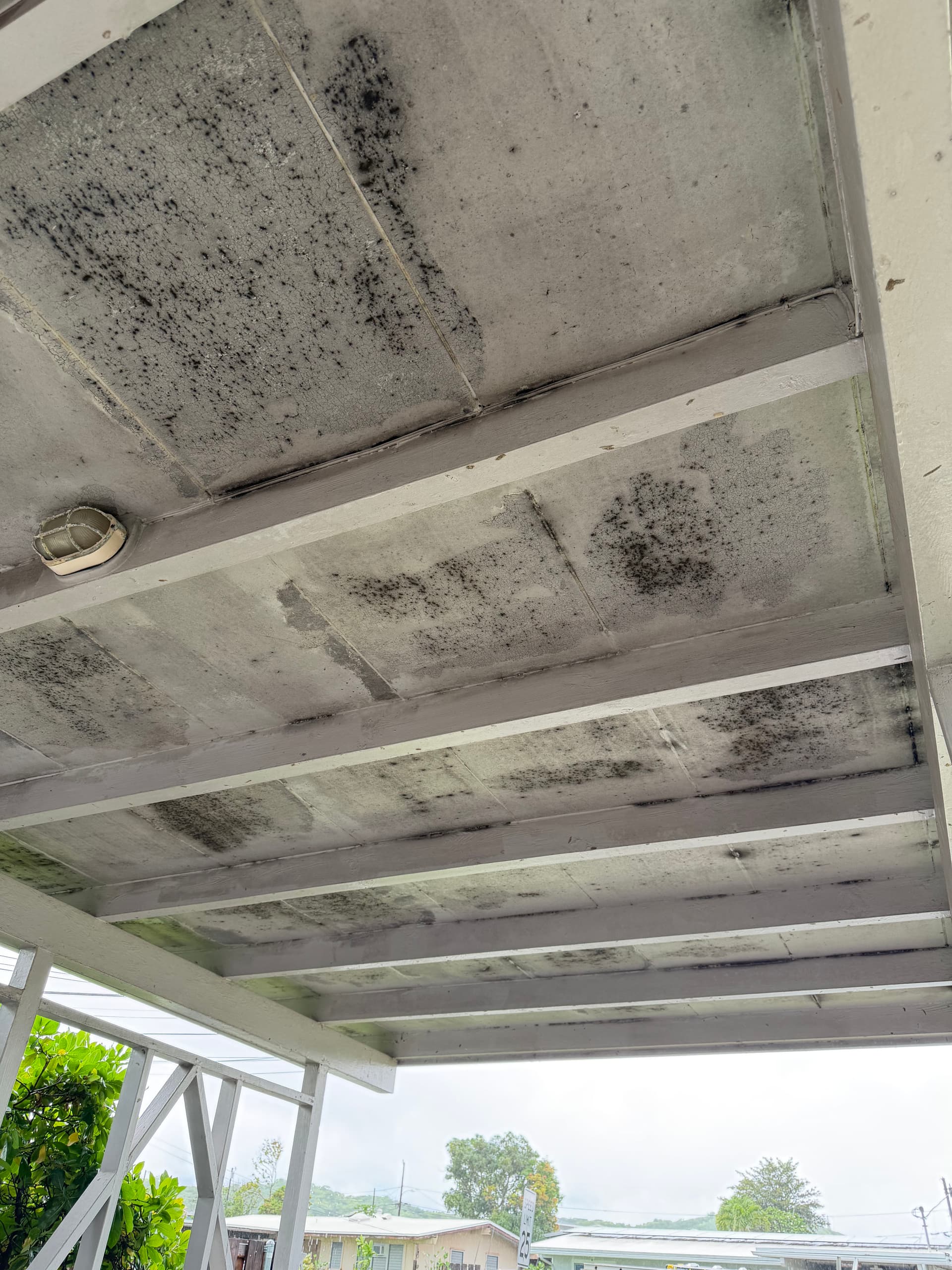 Carport Ceiling Mold Cleaned Up with Soft Washing image
