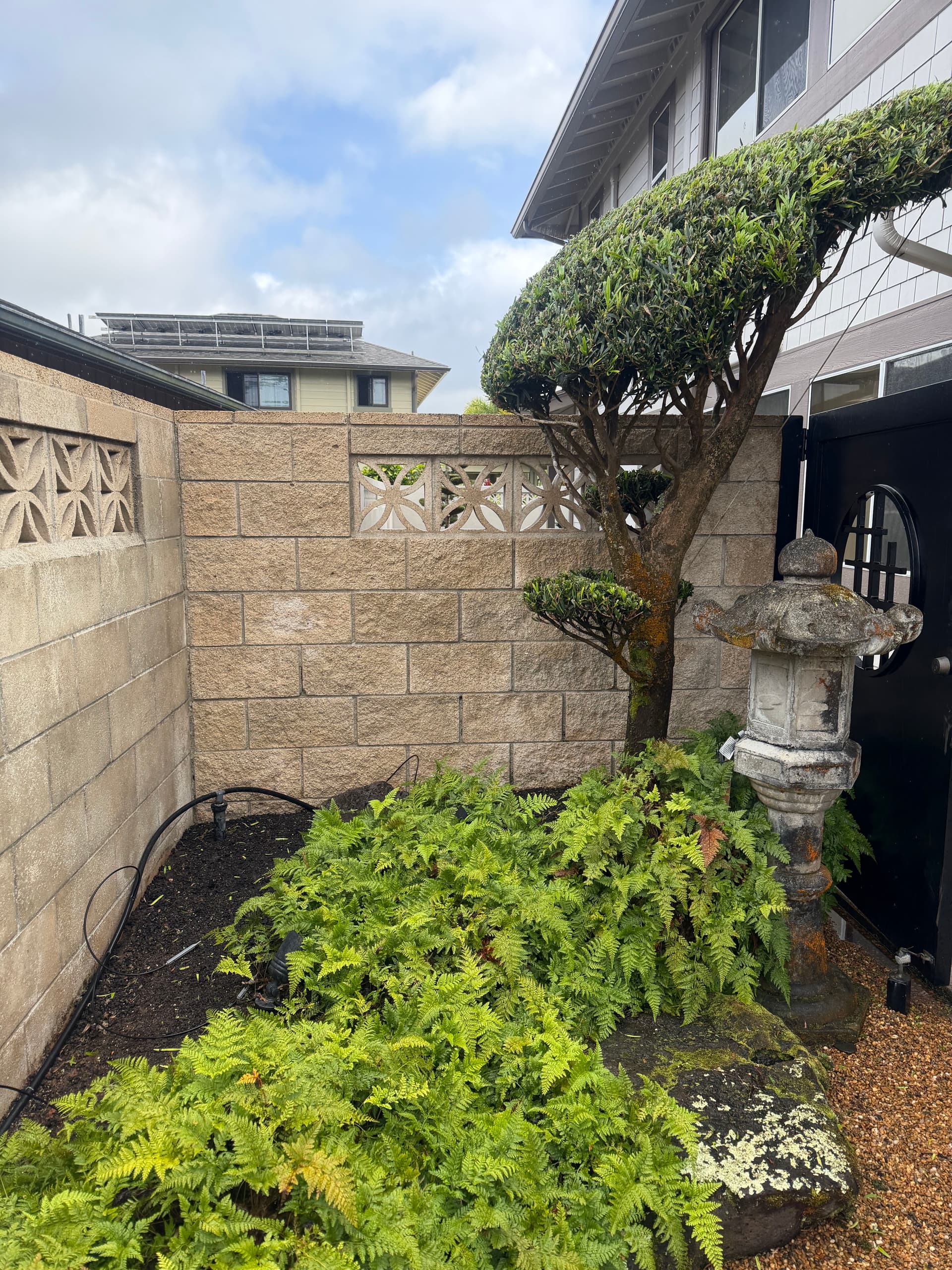 Gallery photos for 15+ Years of Mold Wiped Off This Rock Wall: Image #1